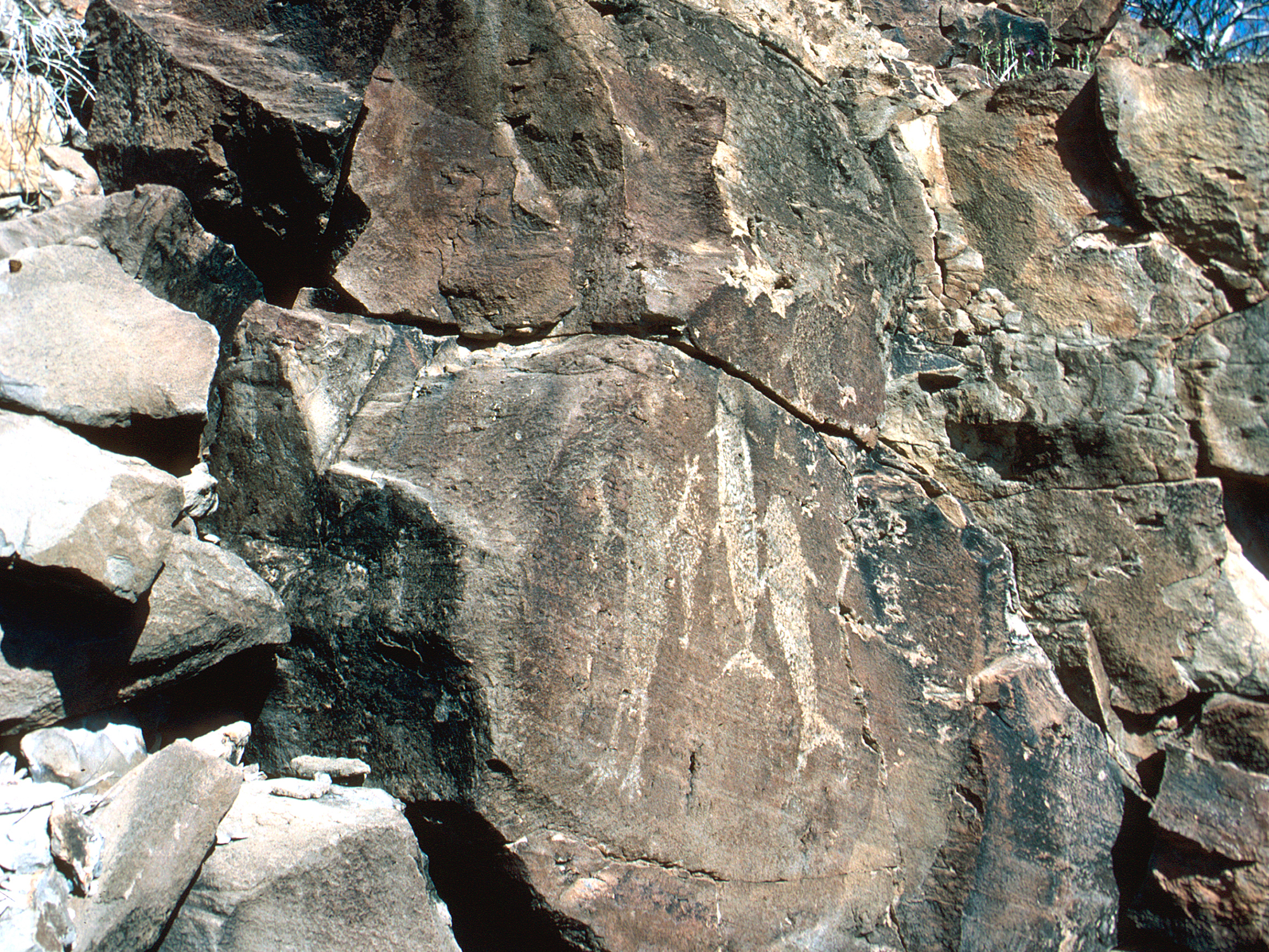 Rock Art Cave Paintings Petroglyphs Pictographs Baja California Mexico Archaeology USA America Bradshaw Foundation