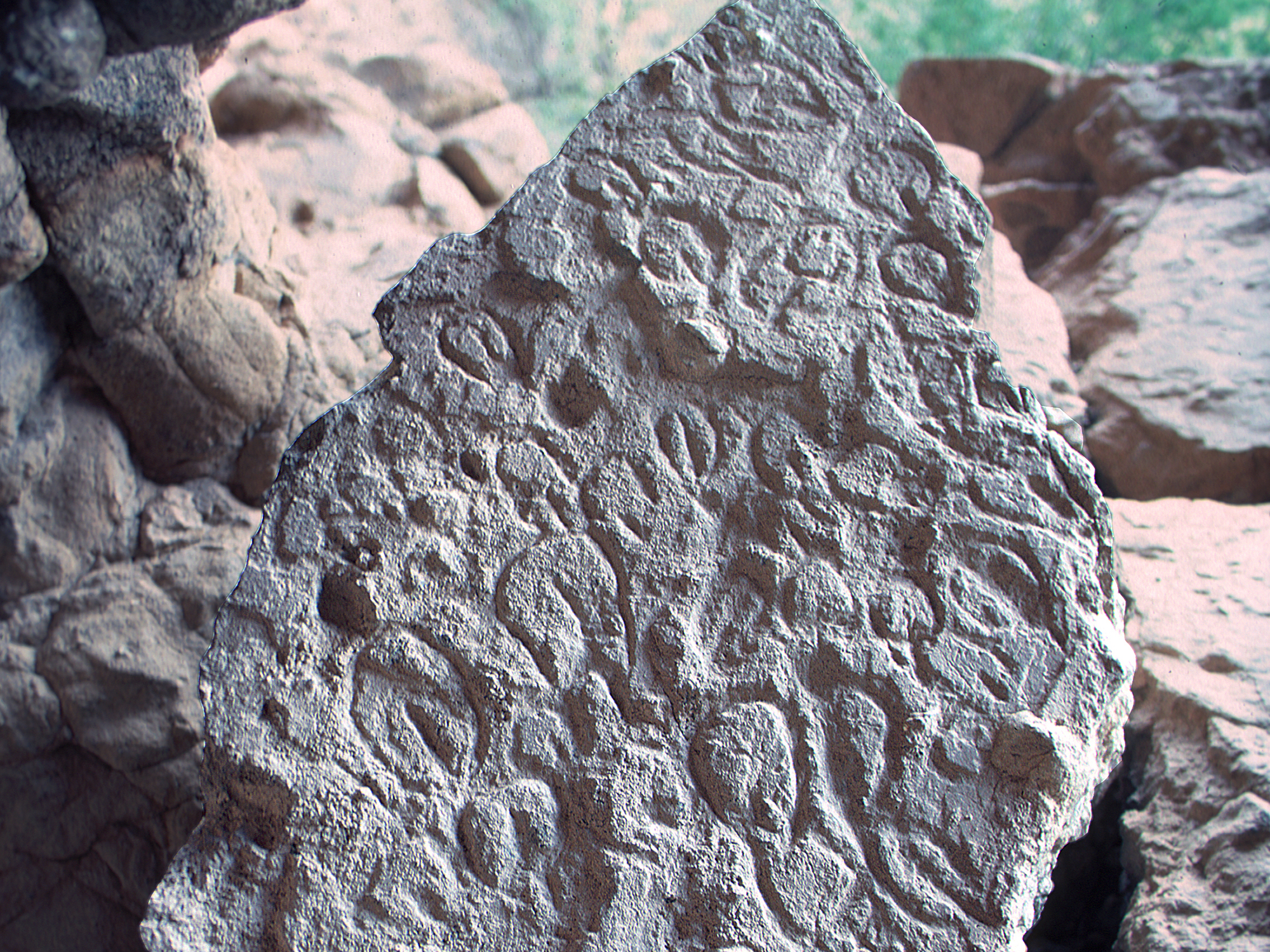 Rock Art Cave Paintings Petroglyphs Pictographs Baja California Mexico Archaeology USA America Bradshaw Foundation