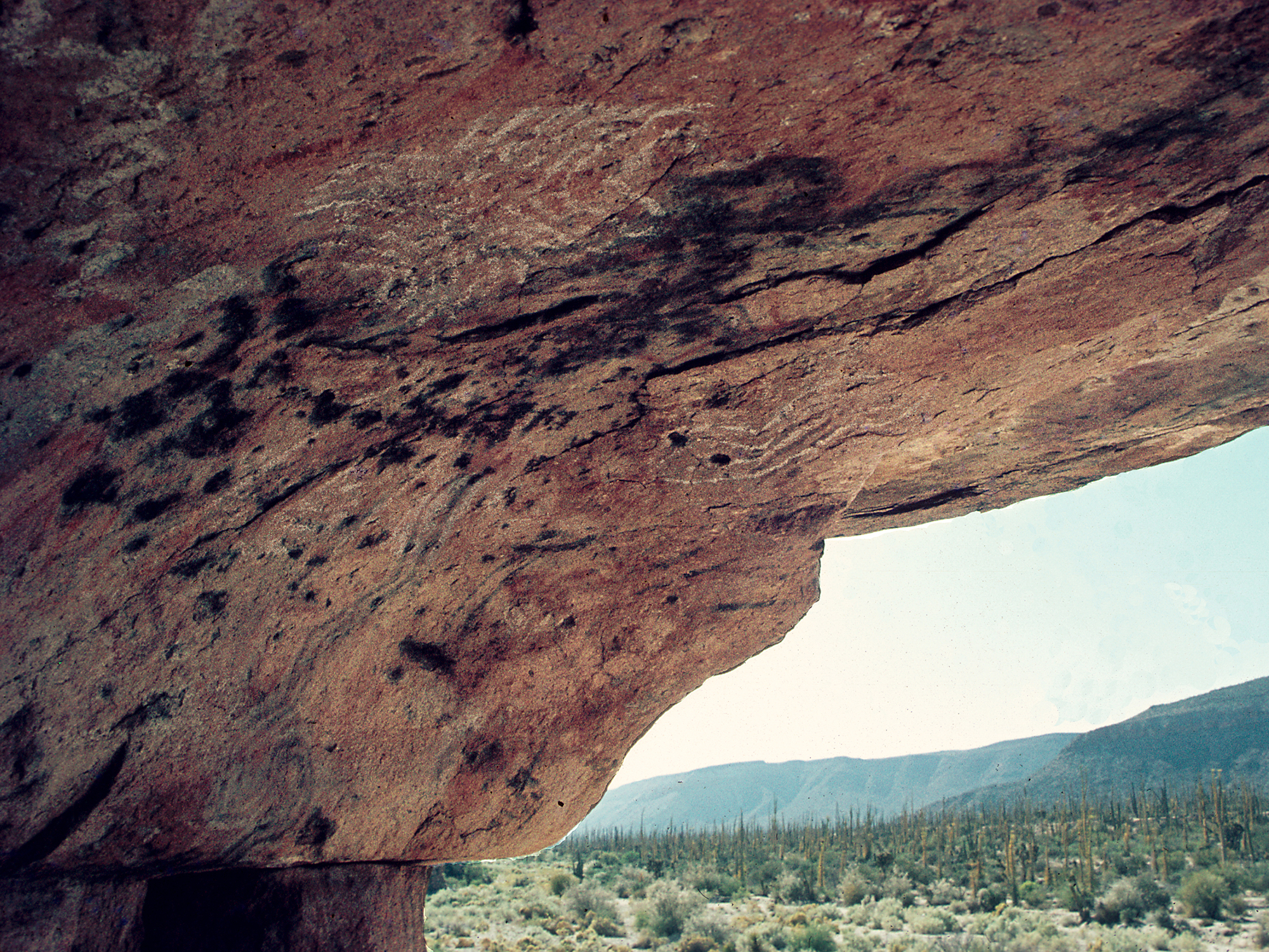 Rock Art Cave Paintings Petroglyphs Pictographs Baja California Mexico Archaeology USA America Bradshaw Foundation