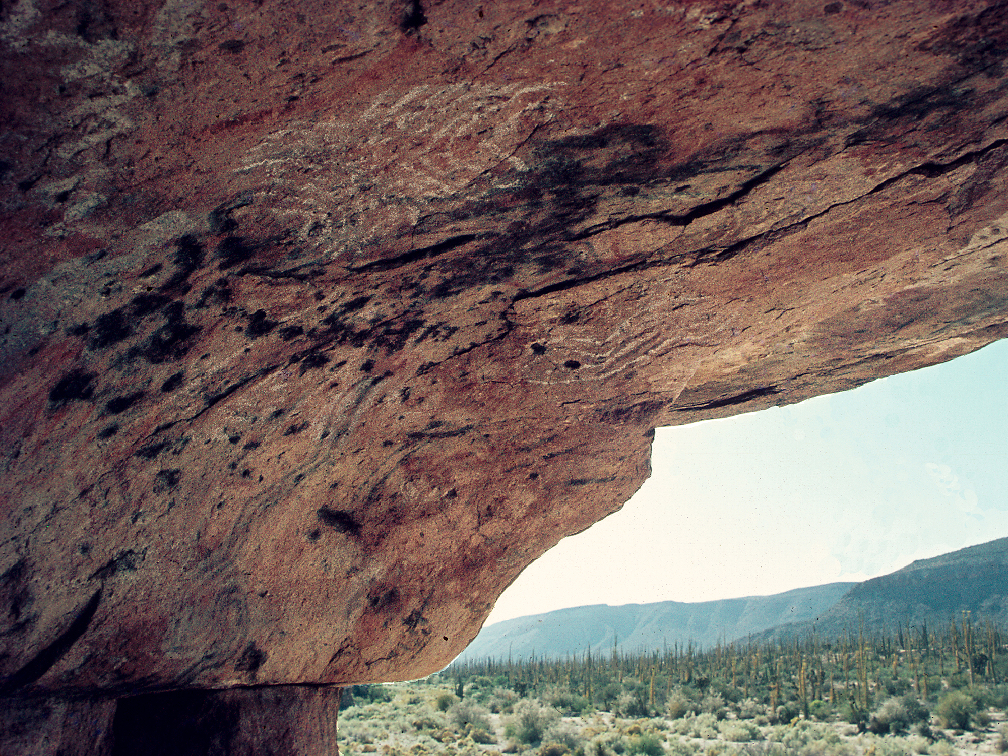 Rock Art Cave Paintings Petroglyphs Pictographs Baja California Mexico Archaeology USA America Bradshaw Foundation