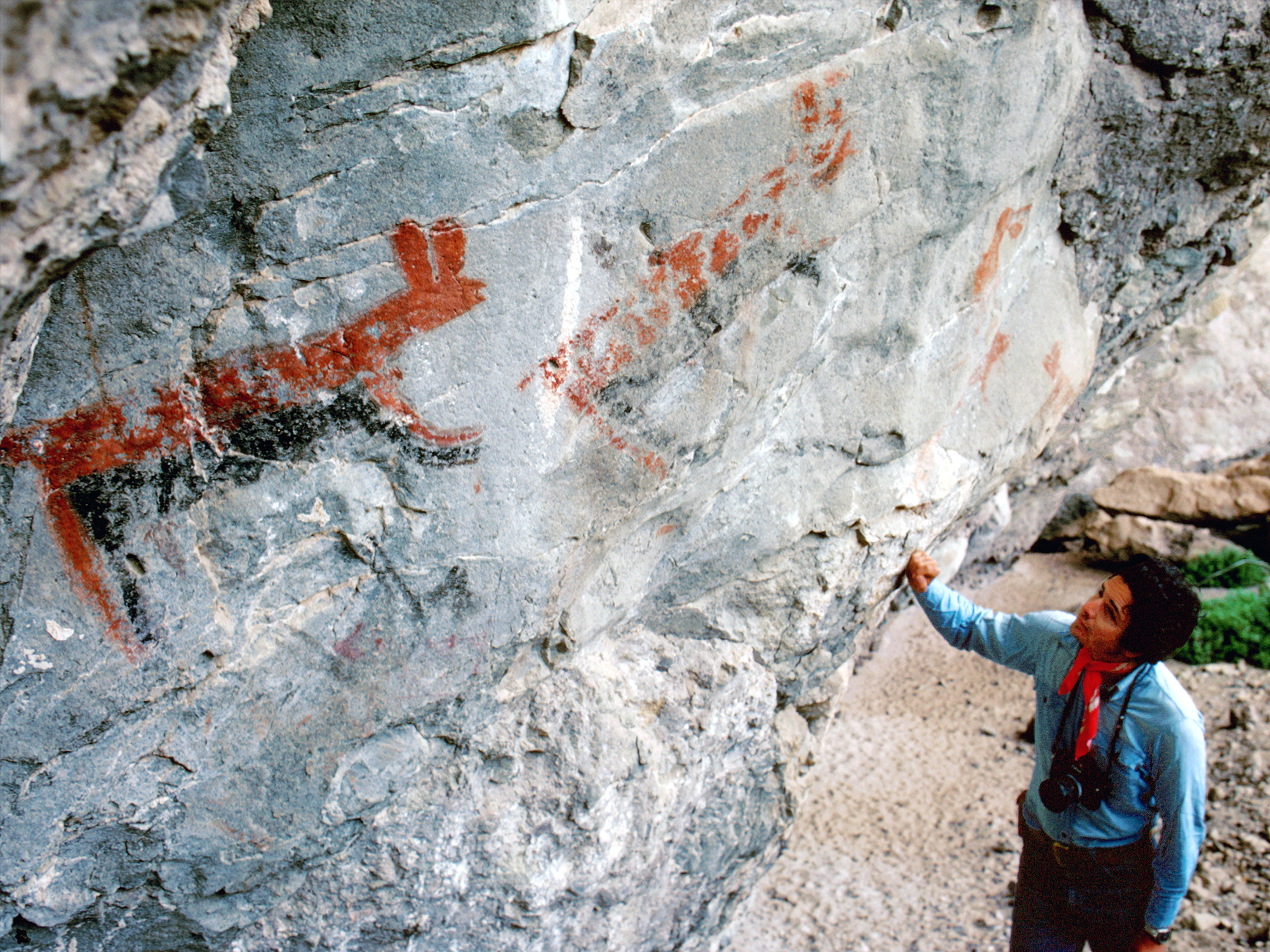 Rock Art Cave Paintings Petroglyphs Pictographs Baja California Mexico Archaeology USA America Bradshaw Foundation