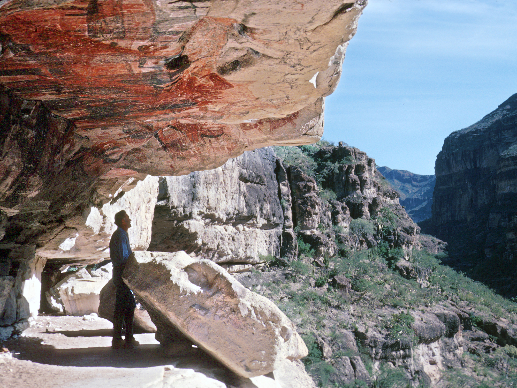 Rock Art Cave Paintings Petroglyphs Pictographs Baja California Mexico Archaeology USA America Bradshaw Foundation