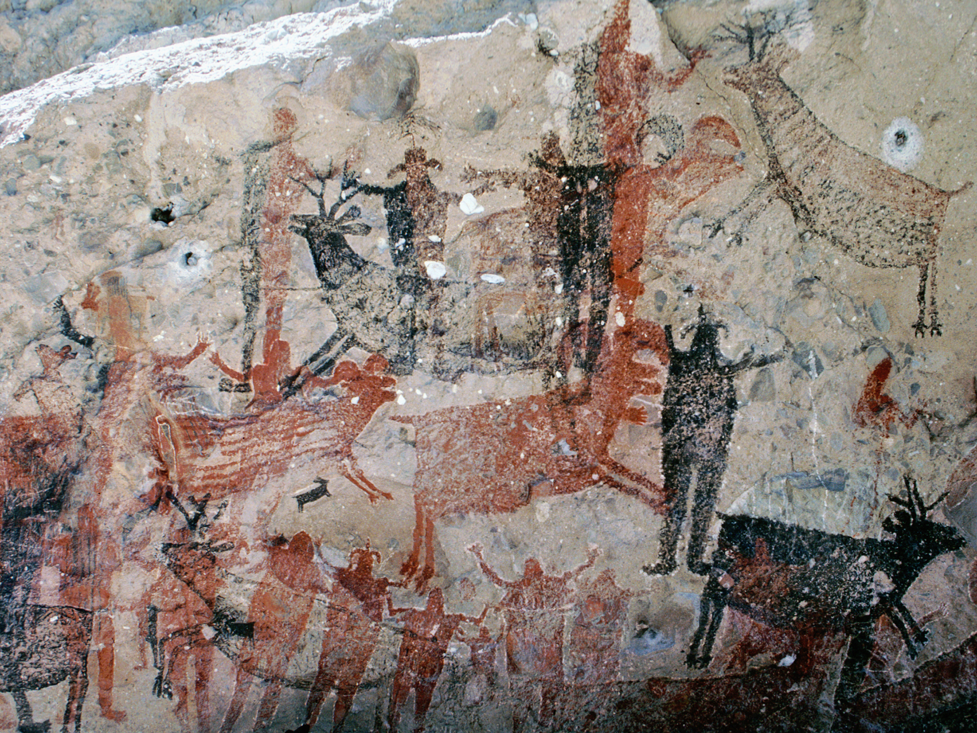 Cueva Pintada Cave Art Paintings Baja California Peninsula Mexico California