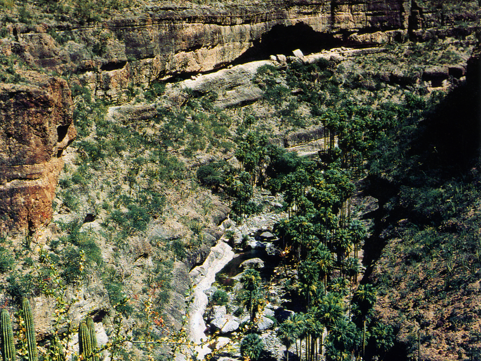 Arroyo de San Pablo Cave Art Paintings Baja California Peninsula Mexico California