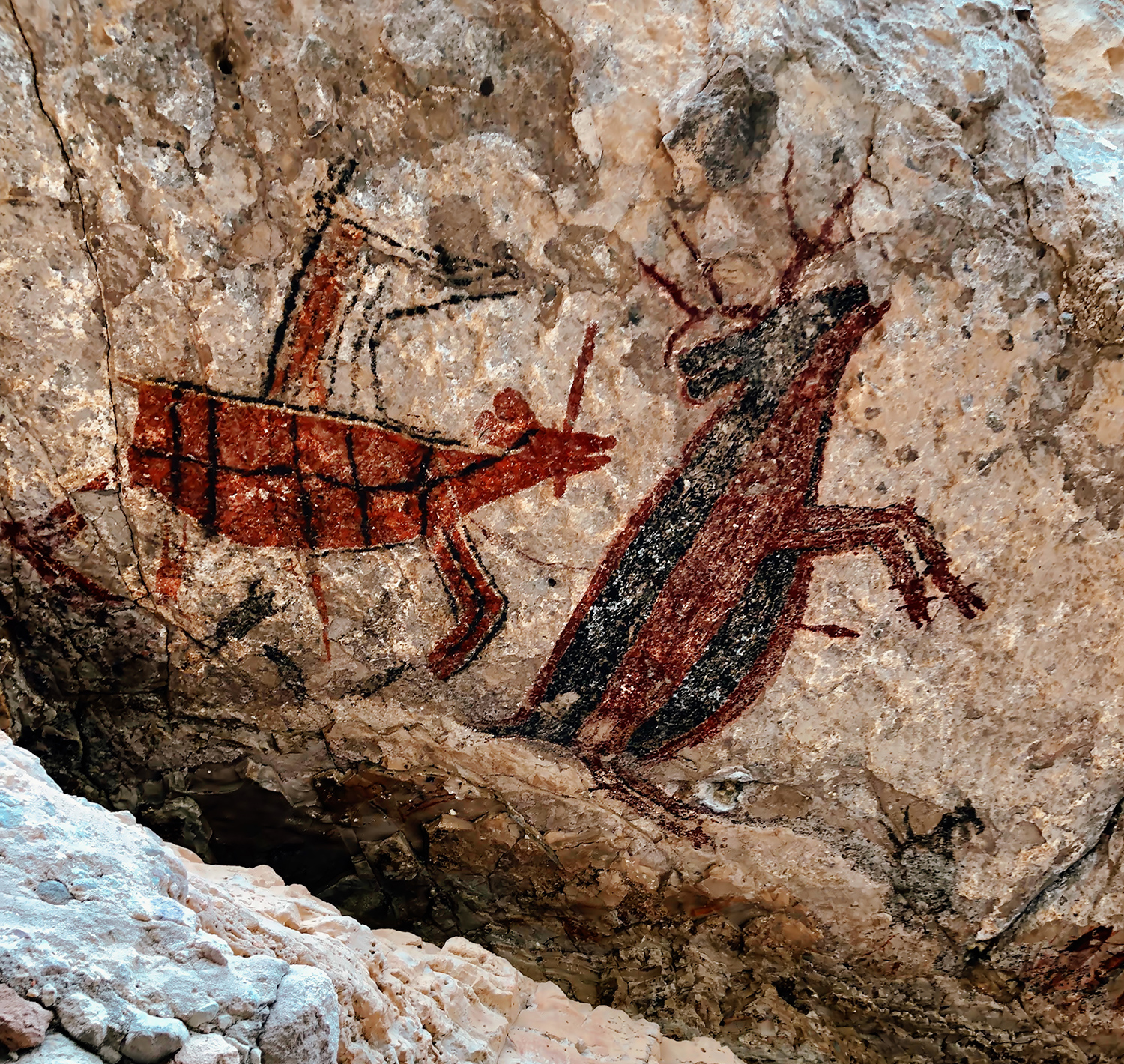 Deer Cave Art Paintings Baja California Peninsula Mexico California