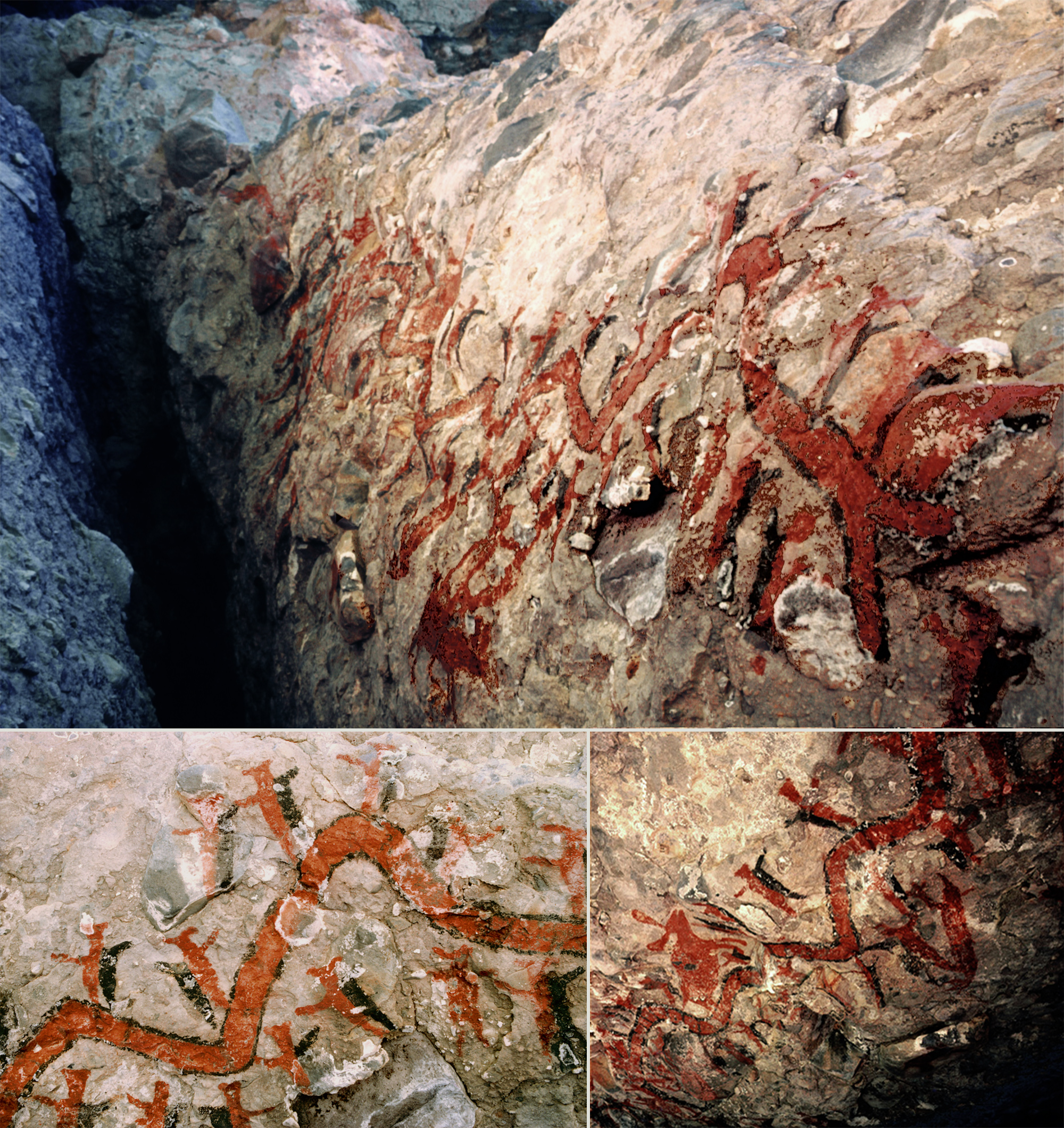 Serpent Cave Art Paintings Baja California Peninsula Mexico California