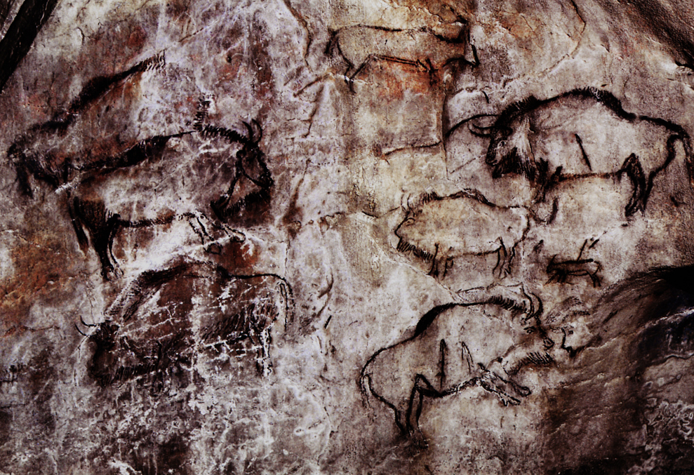 Bison panel in Niaux