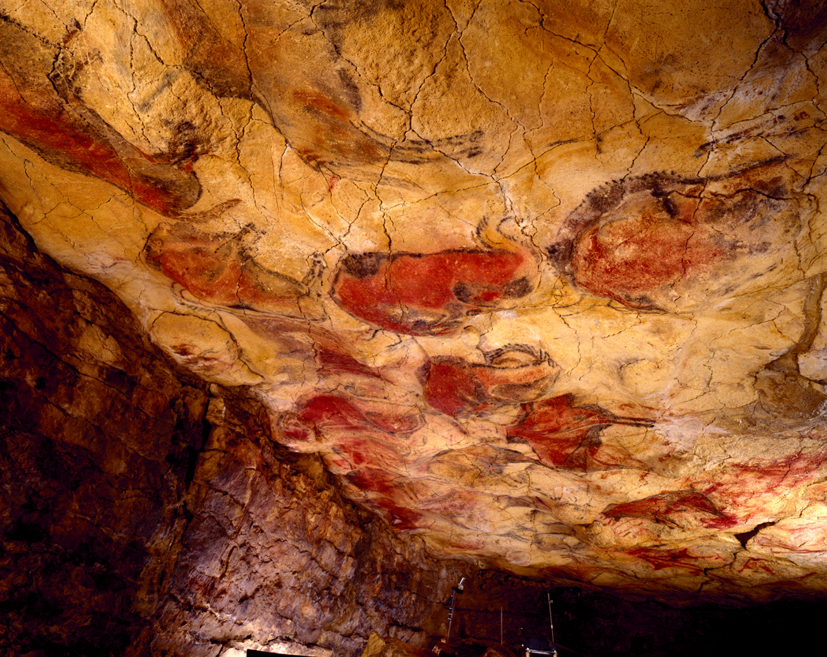 Polychrome Ceiling Altamira Cave Art Paintings Palaeolithic Spain