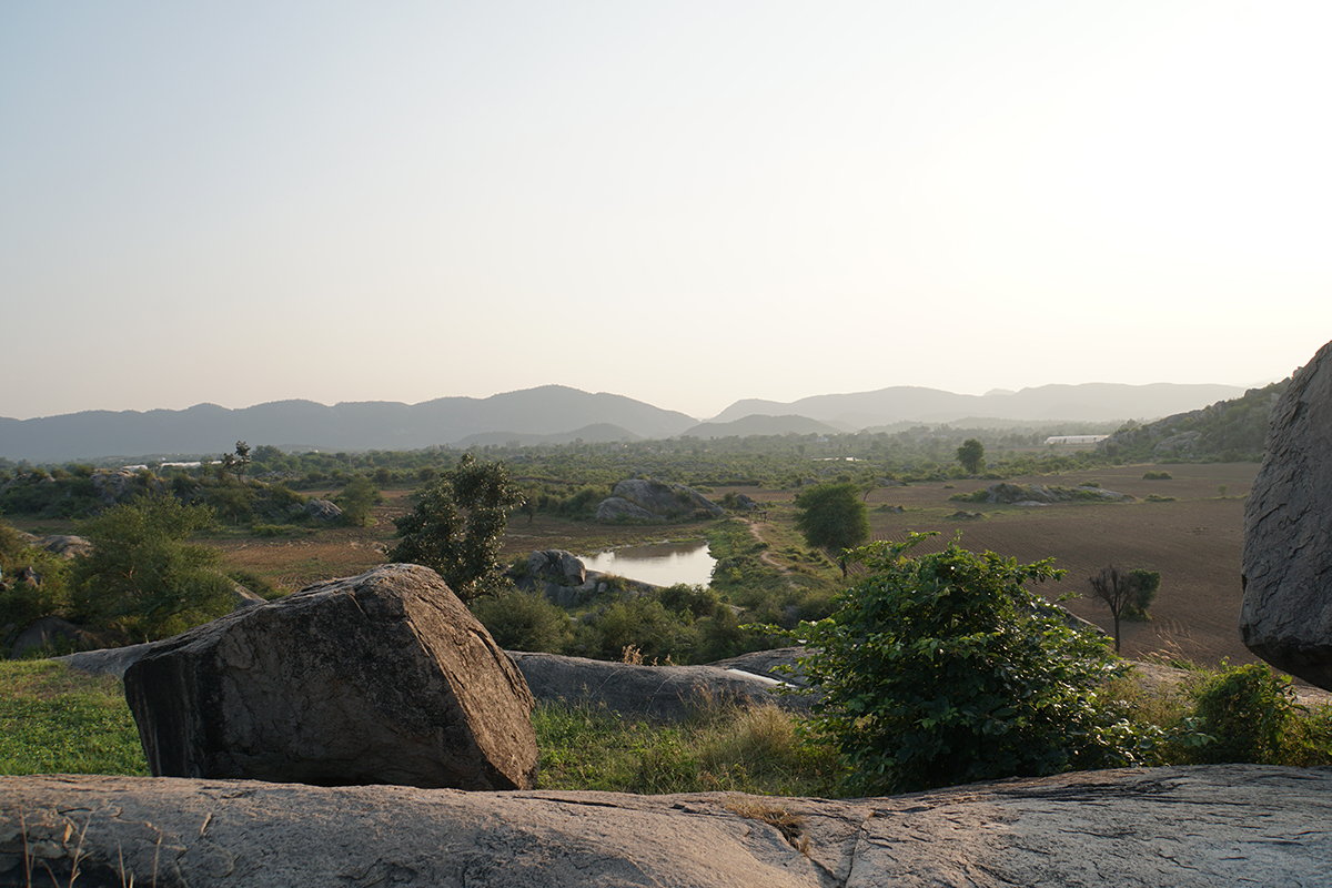 Cupules Vulvas Alwar Rajasthan India Meenakshi Dubey-Pathak Madhya Pradesh prehistoric carvings