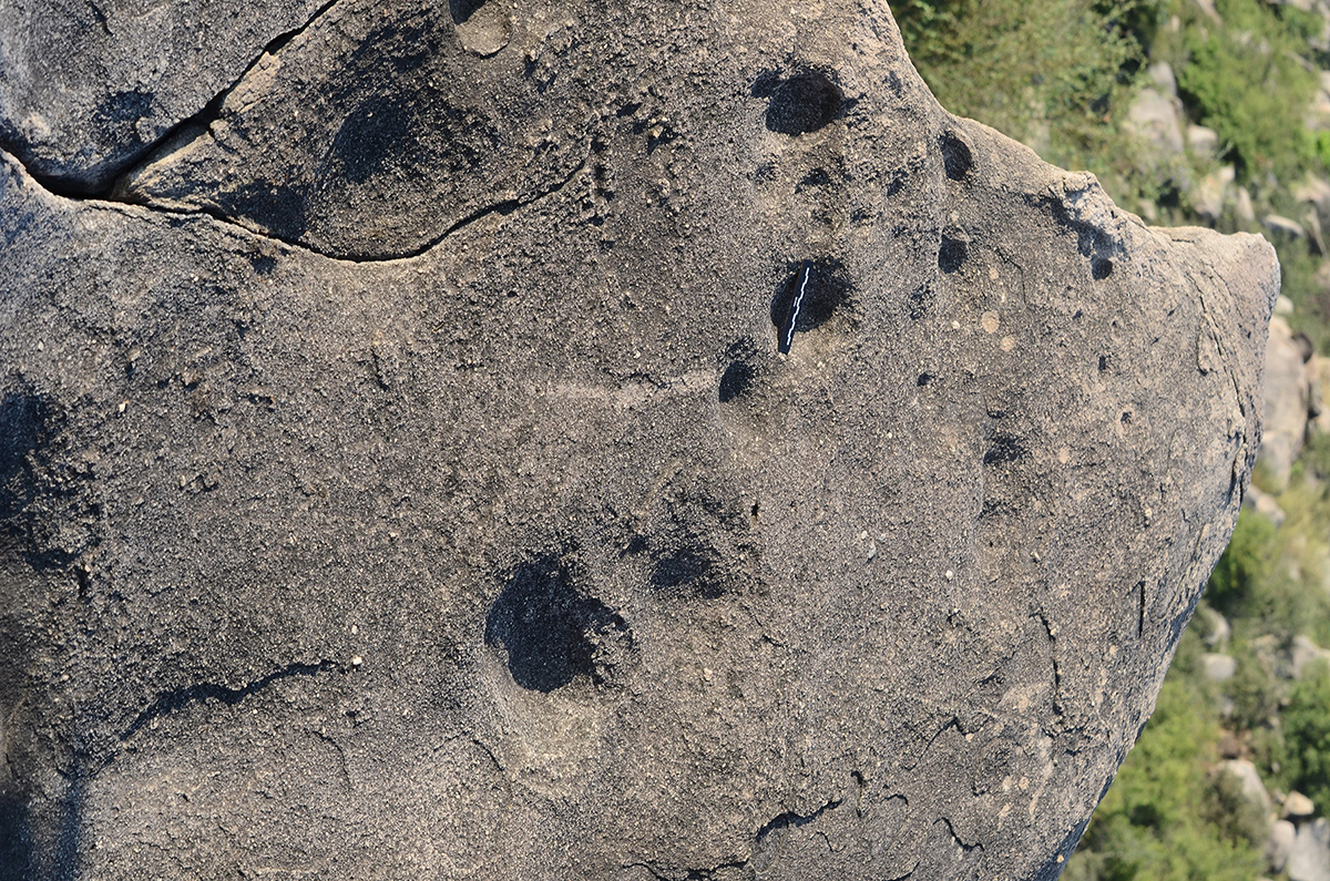 Cupules Vulvas Alwar Rajasthan India Meenakshi Dubey-Pathak Madhya Pradesh prehistoric carvings