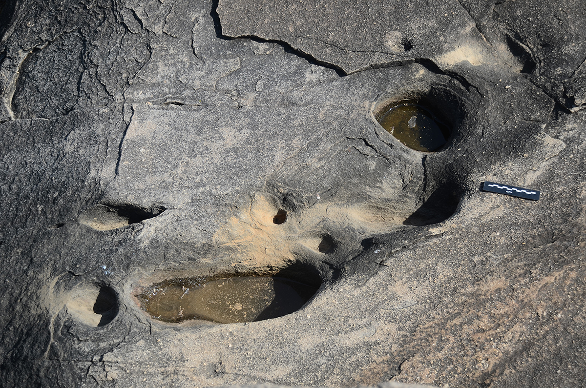 Cupules Vulvas Alwar Rajasthan India Meenakshi Dubey-Pathak Madhya Pradesh prehistoric carvings