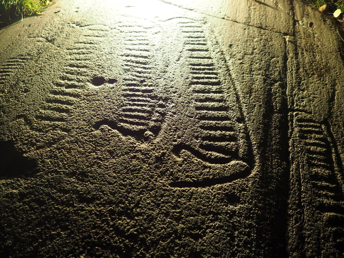 Bronze age petroglyphs ancient rock carvings landscape Norway ocean