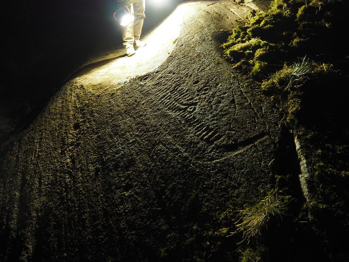 Bronze age petroglyphs ancient rock carvings landscape Norway ocean