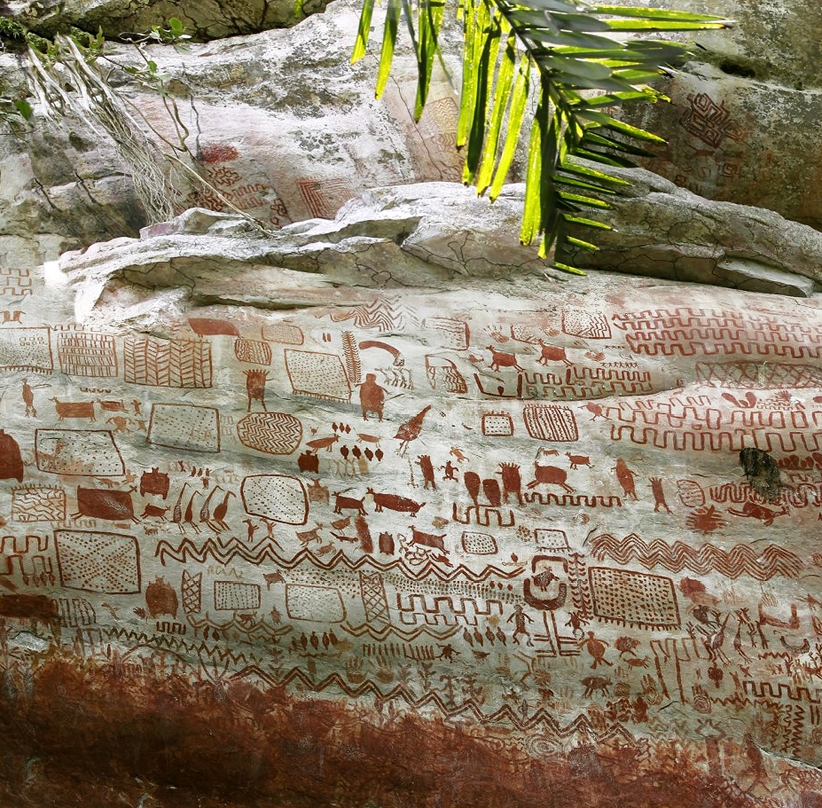 Colombia Amazon rain forest rock art animals humans archaeologists paintings