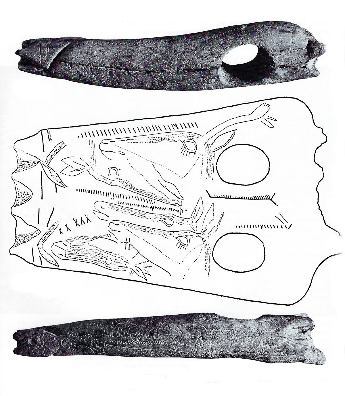 Looking at various rock art theories. Theory Art as Information. Premise Prehistoric art, both parietal and portable, a means of storing and transmitting information. The information was conveyed via images and symbols.