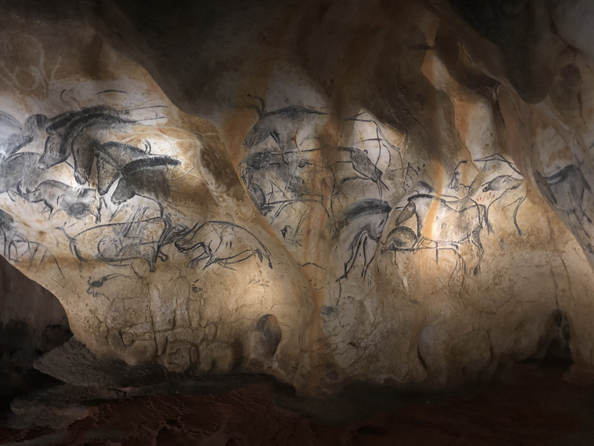 rhinoceroses Chauvet cave Ardèche
