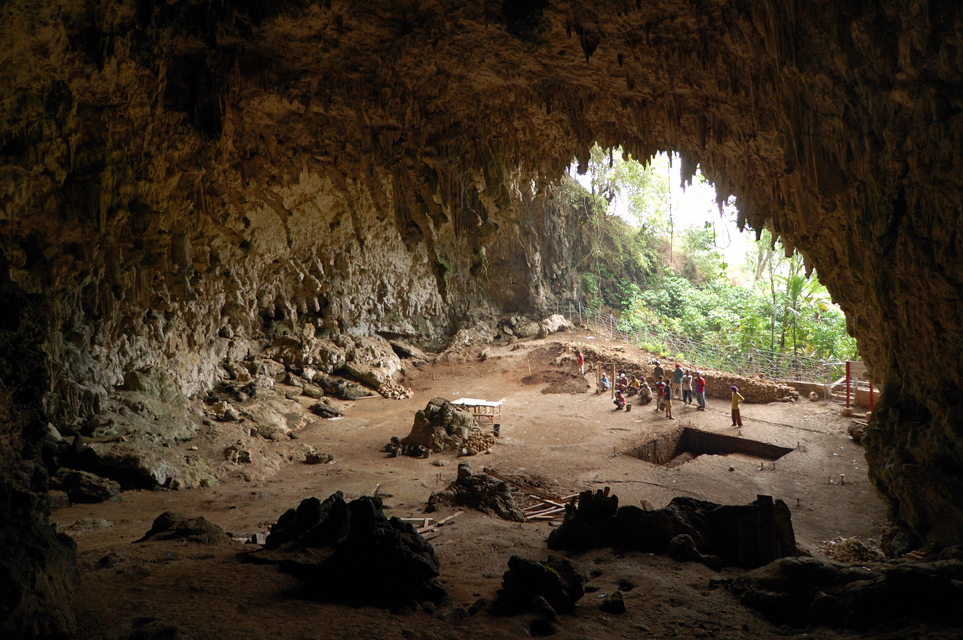 Homo floresiensis specimen divides scientific community
