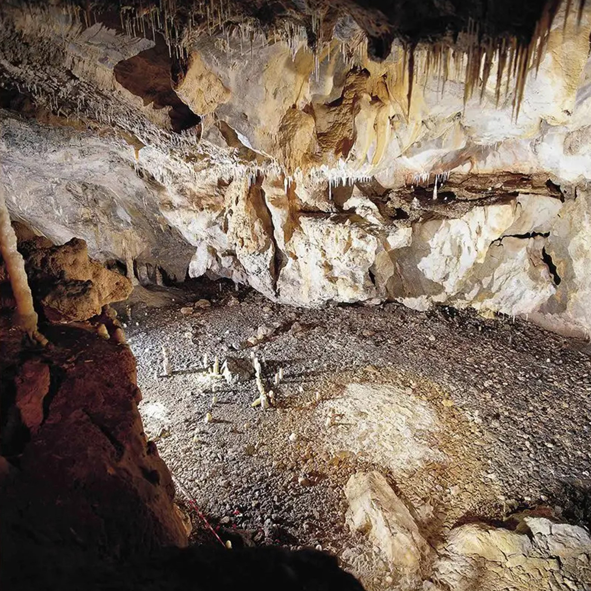 Palaeolithic dwelling La Garma cave archaeologists Spain Cantabria province