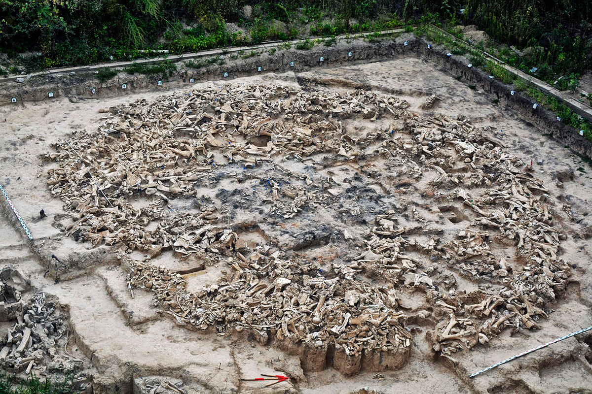 Mysterious Ancient Structure Mammoth Bones circular skulls skeletons tusks 60 woolly mammoths Ice Age hunter-gatherers roof scientists Russia