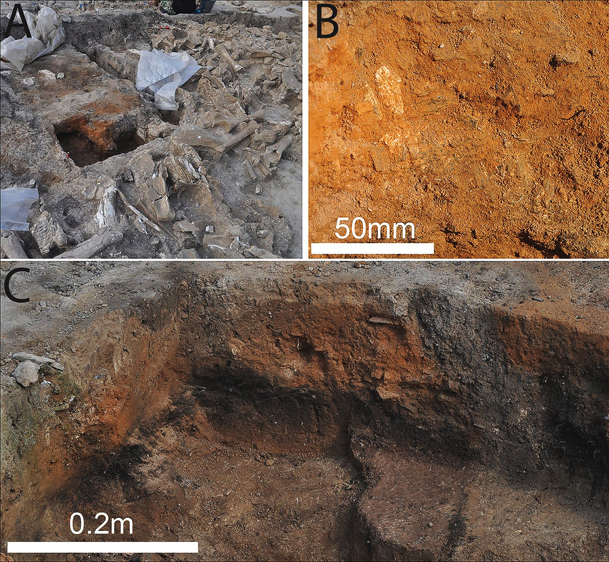 Mysterious Ancient Structure Mammoth Bones circular skulls skeletons tusks 60 woolly mammoths Ice Age hunter-gatherers roof scientists Russia