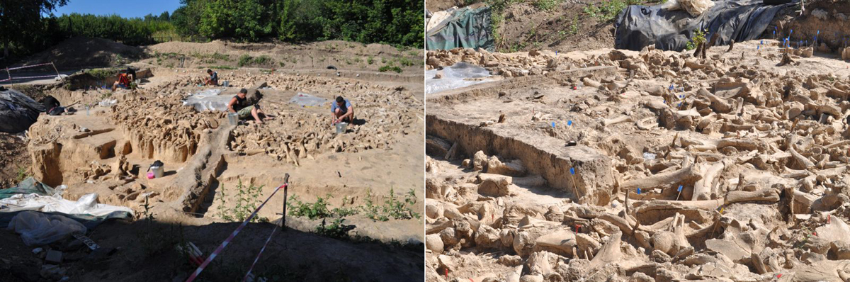 Mysterious Ancient Structure Mammoth Bones circular skulls skeletons tusks 60 woolly mammoths Ice Age hunter-gatherers roof scientists Russia