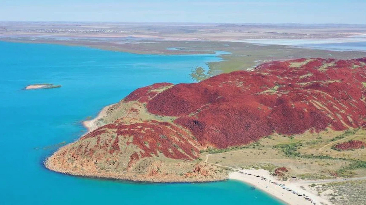 pollution rock art Murujuga Western Australia Pilbara engravings