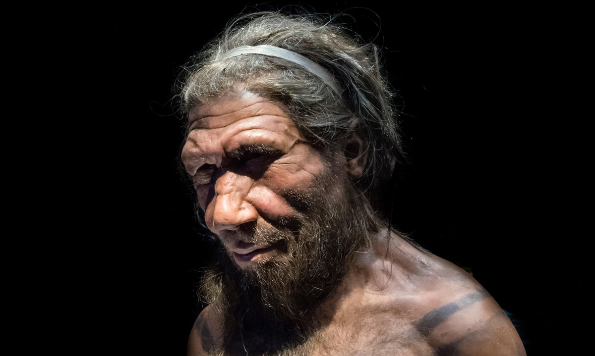 Researchers Neanderthal population modern humans Europe Near East inbreeding natural fluctuations birth rates death sex ratios extinction superior Neanderthals
caption