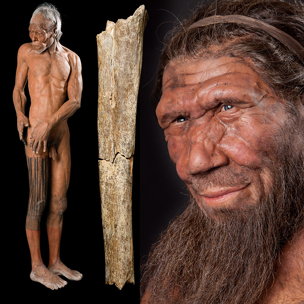 ancient tools Neanderthals Danish island flint Denmark