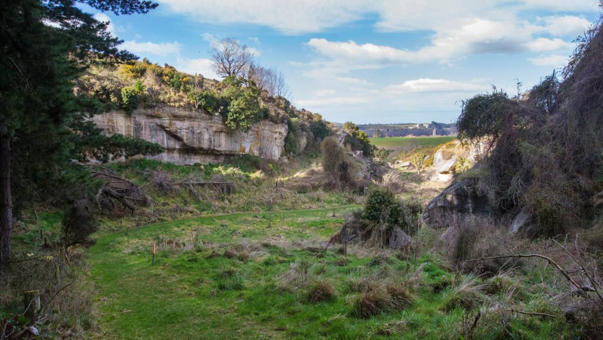 New Zealand Rock Art