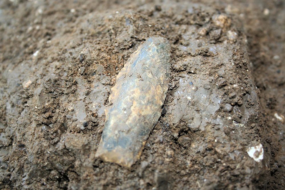 A 15,000 year old stemmed point