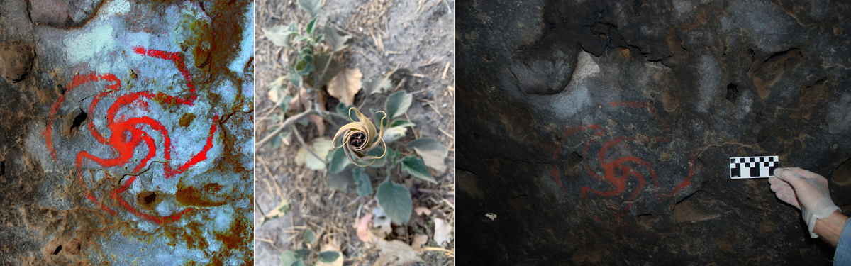 California Cave Native History drug use human creativity archaeological rock art hallucinogen Datura