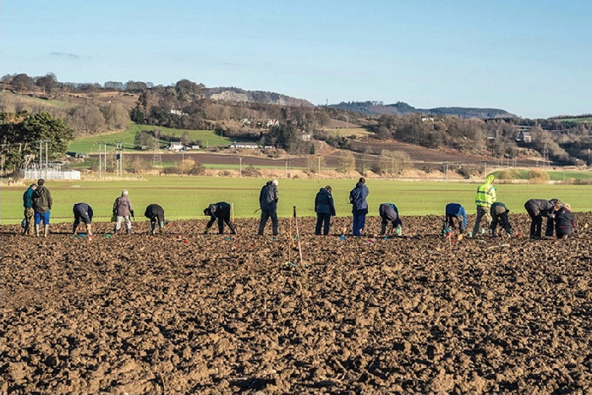 researchers at the site archaeology heritage perth scotland