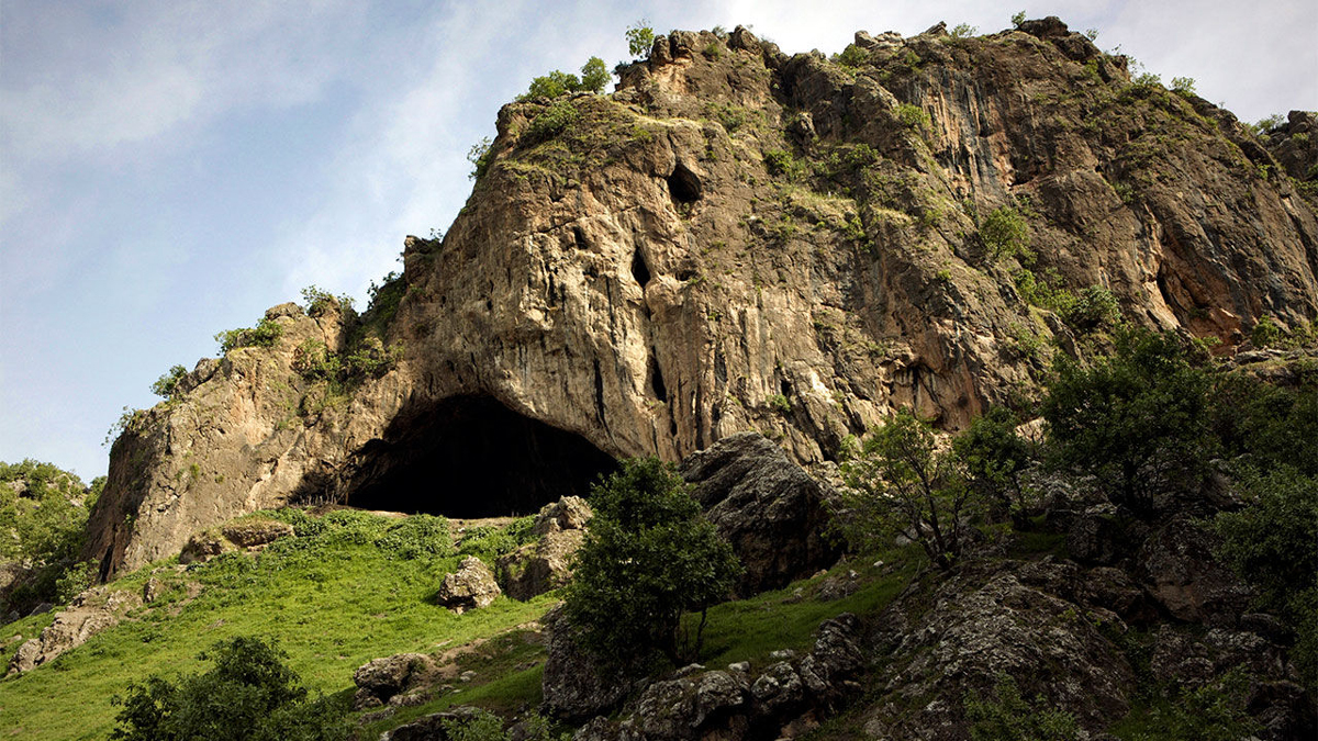 Scientists discover Neanderthal skeleton flower burial fossils Iraqi cave Neanderthals buried dead mortuary rituals