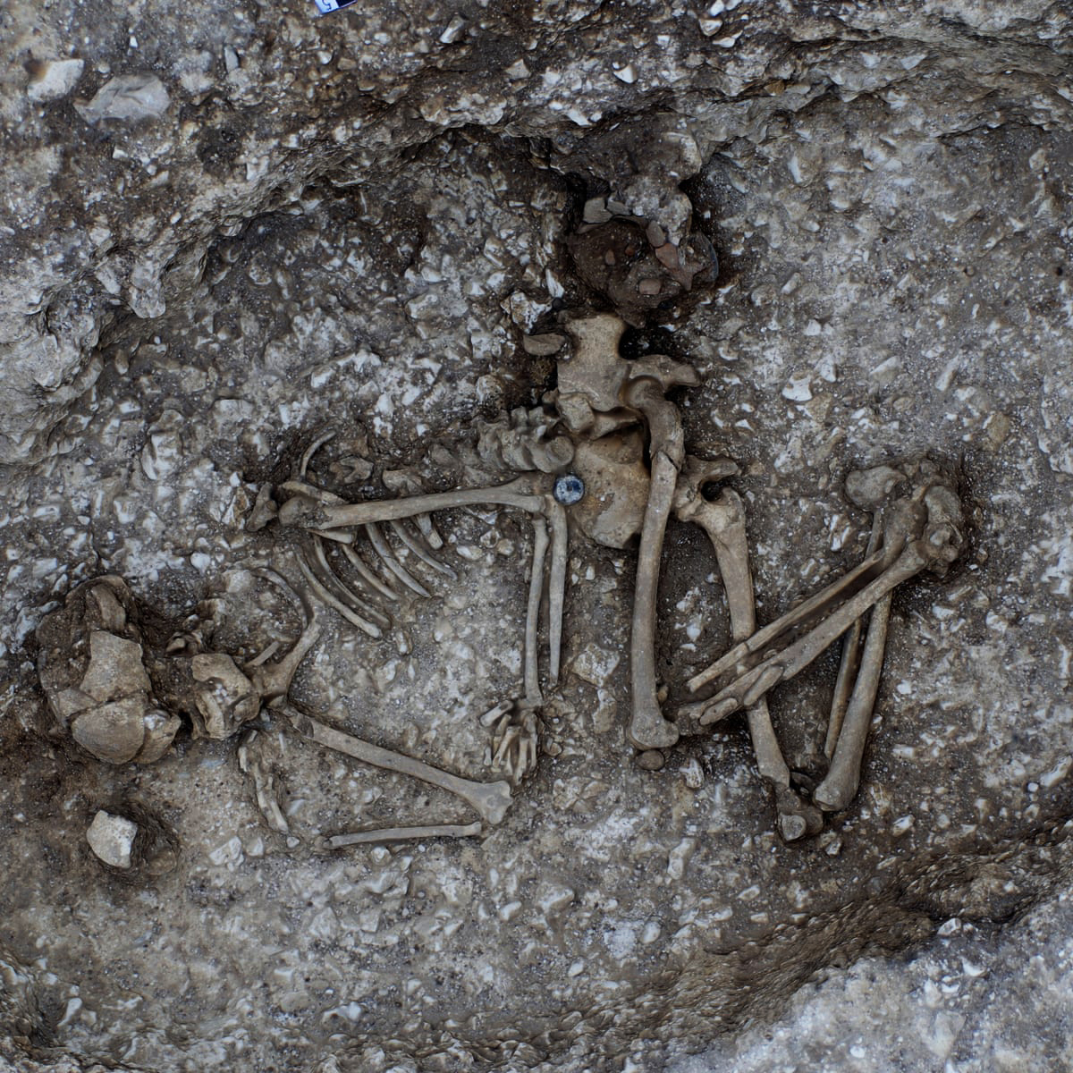 Archaeologists unearth bronze age graves Stonehenge tunnel neolithic pottery excavation site