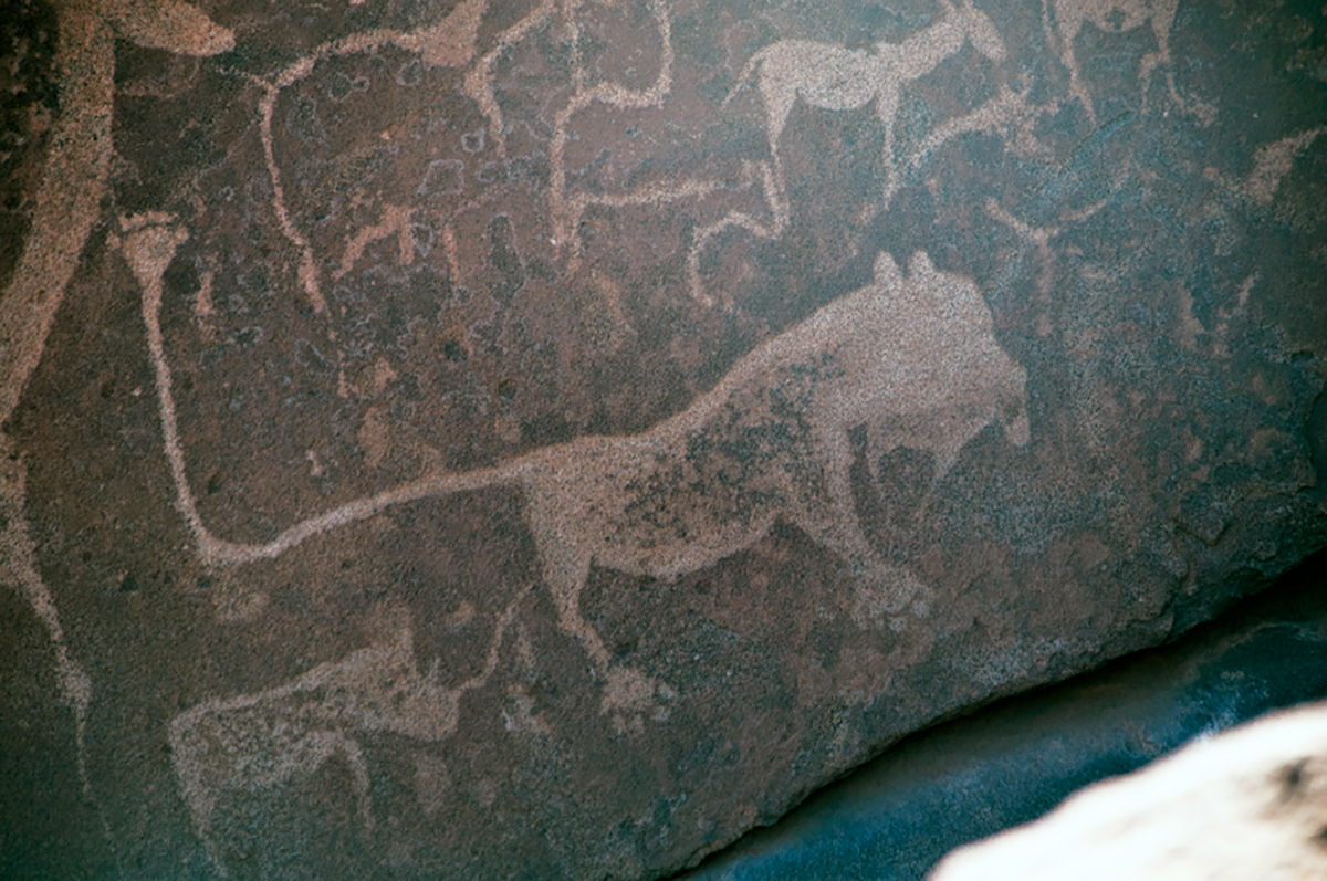 Artists /Ui- //aes Twyfelfontein Namibia UNESCO World Heritage Site petroglyphs rock art