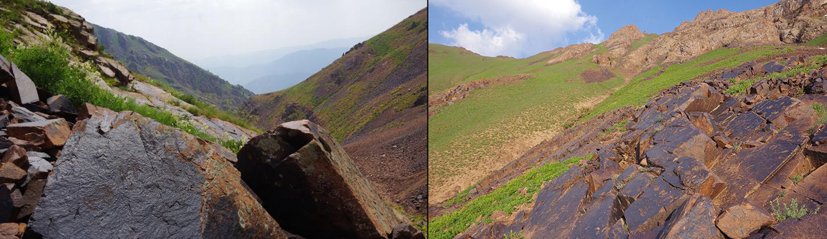 Uzbekistan Polish archaeologists rock carvings petroglyphs archaeology archaeologists