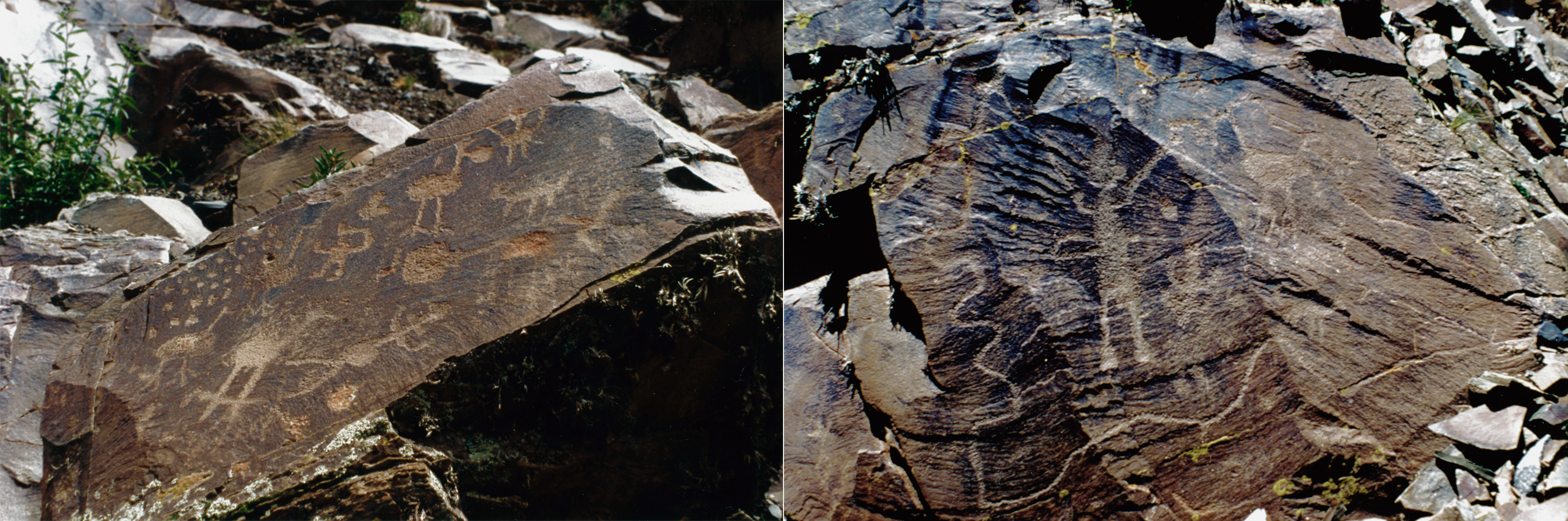 SIARB Bolivia Bolivian Rock Art Research Society