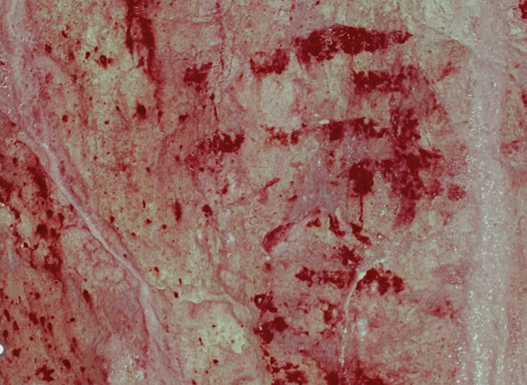 Bacon Hole Rock Art Late Upper Palaeolithic Gower Peninsula South Wales