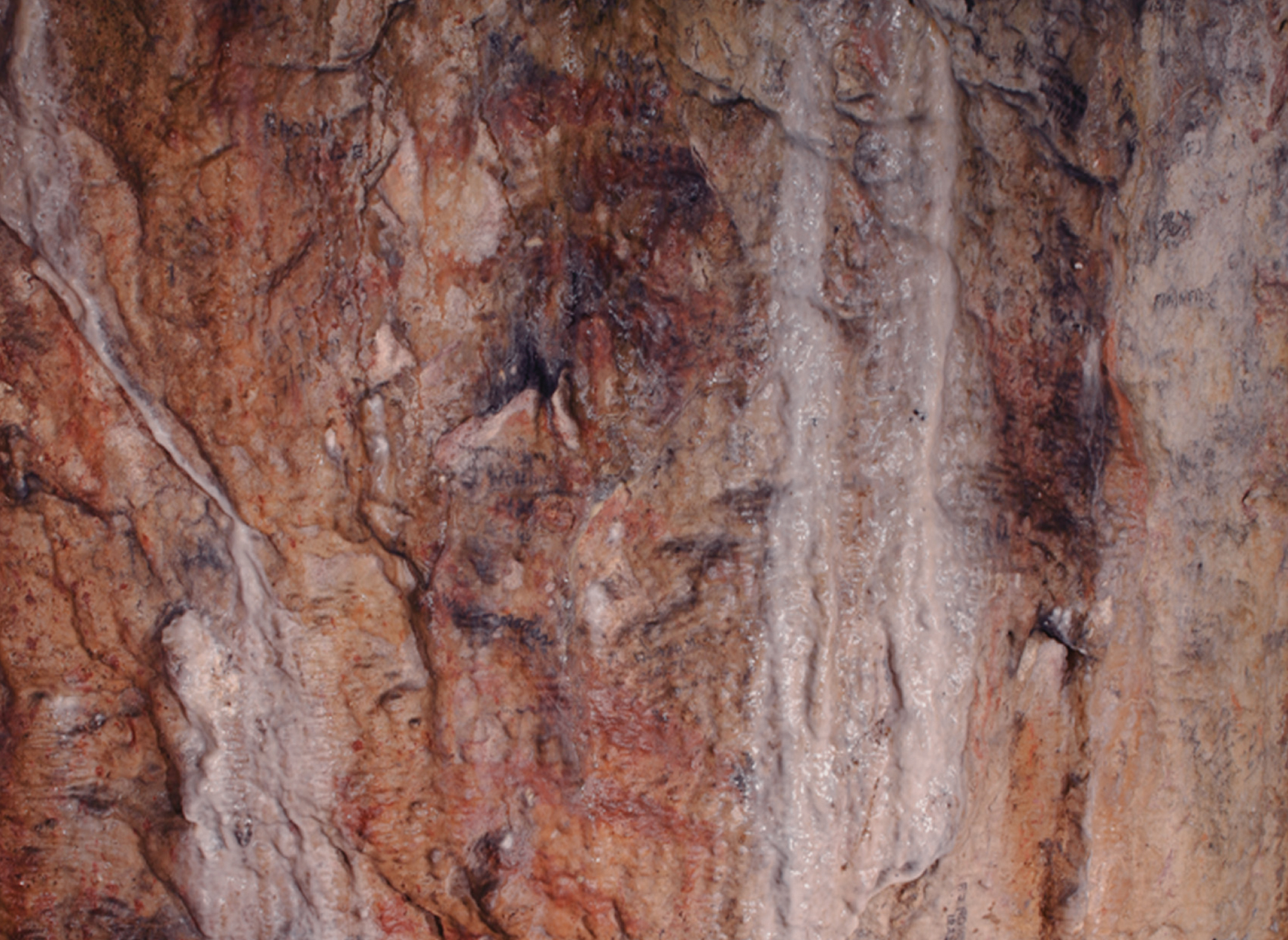 Bacon Hole Rock Art Late Upper Palaeolithic Gower Peninsula South Wales
