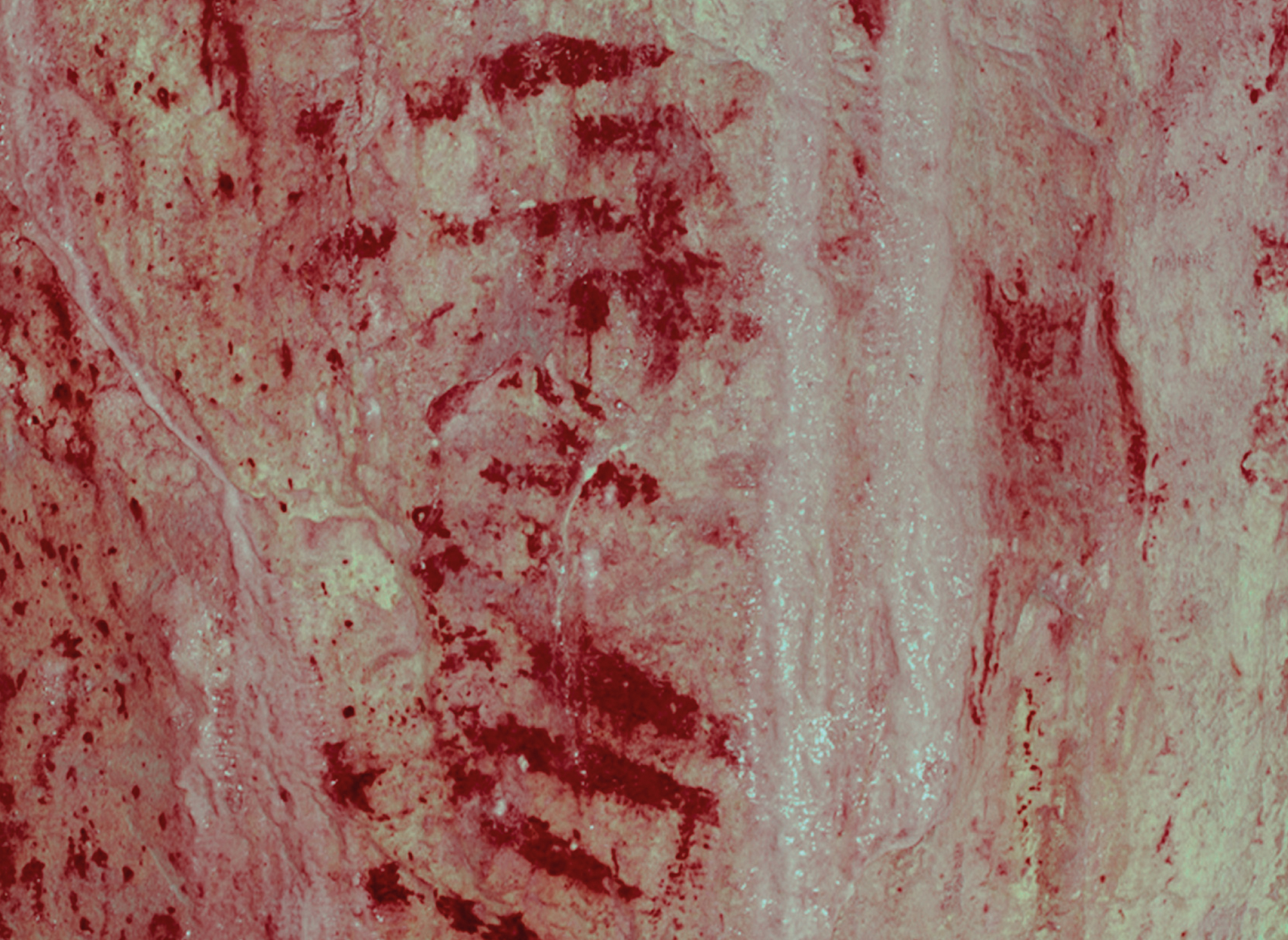 Bacon Hole Rock Art Late Upper Palaeolithic Gower Peninsula South Wales