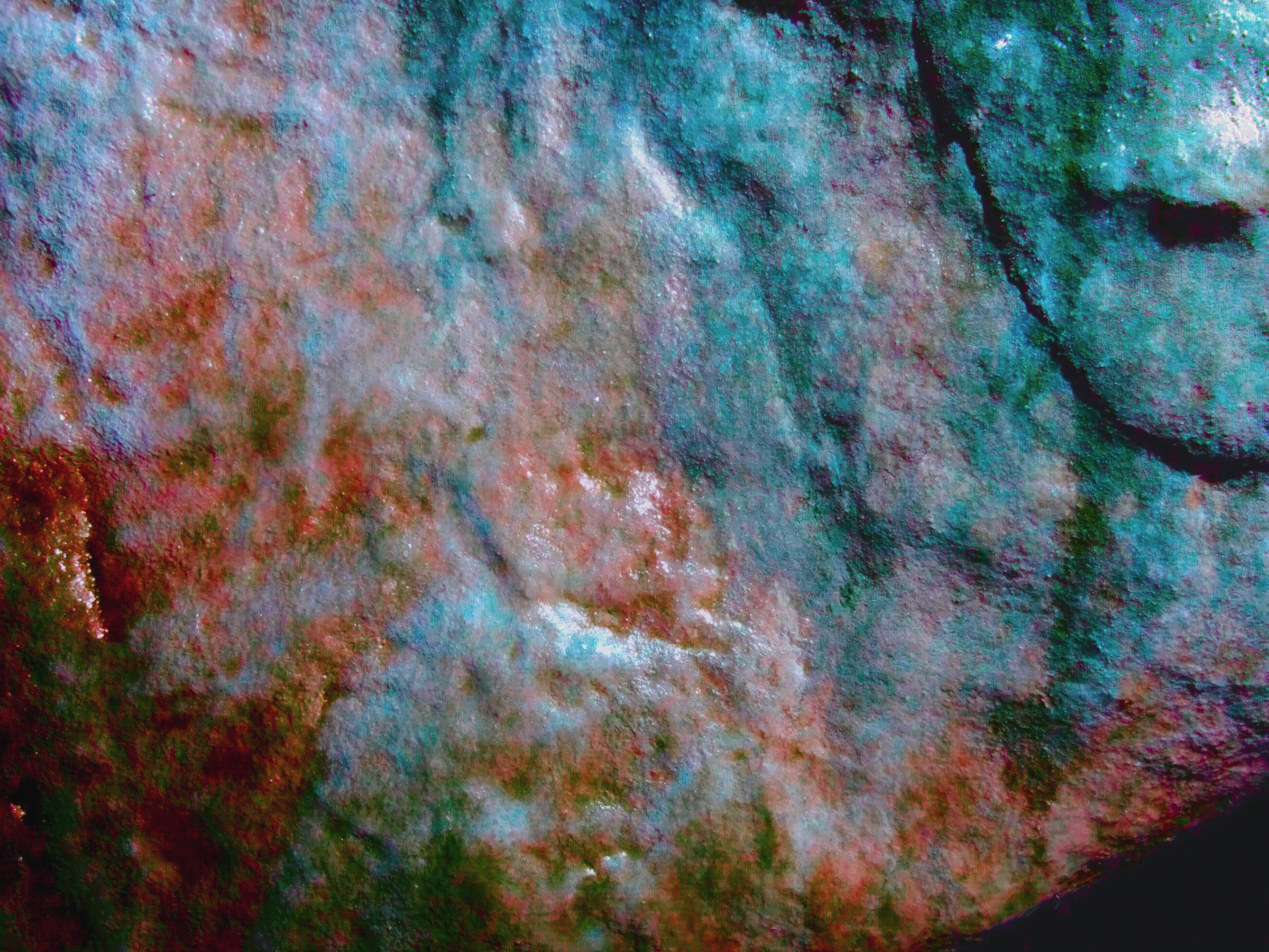 Panel B. D-Stretch image showing the haematite infill within the foreleg and neck of the bovine