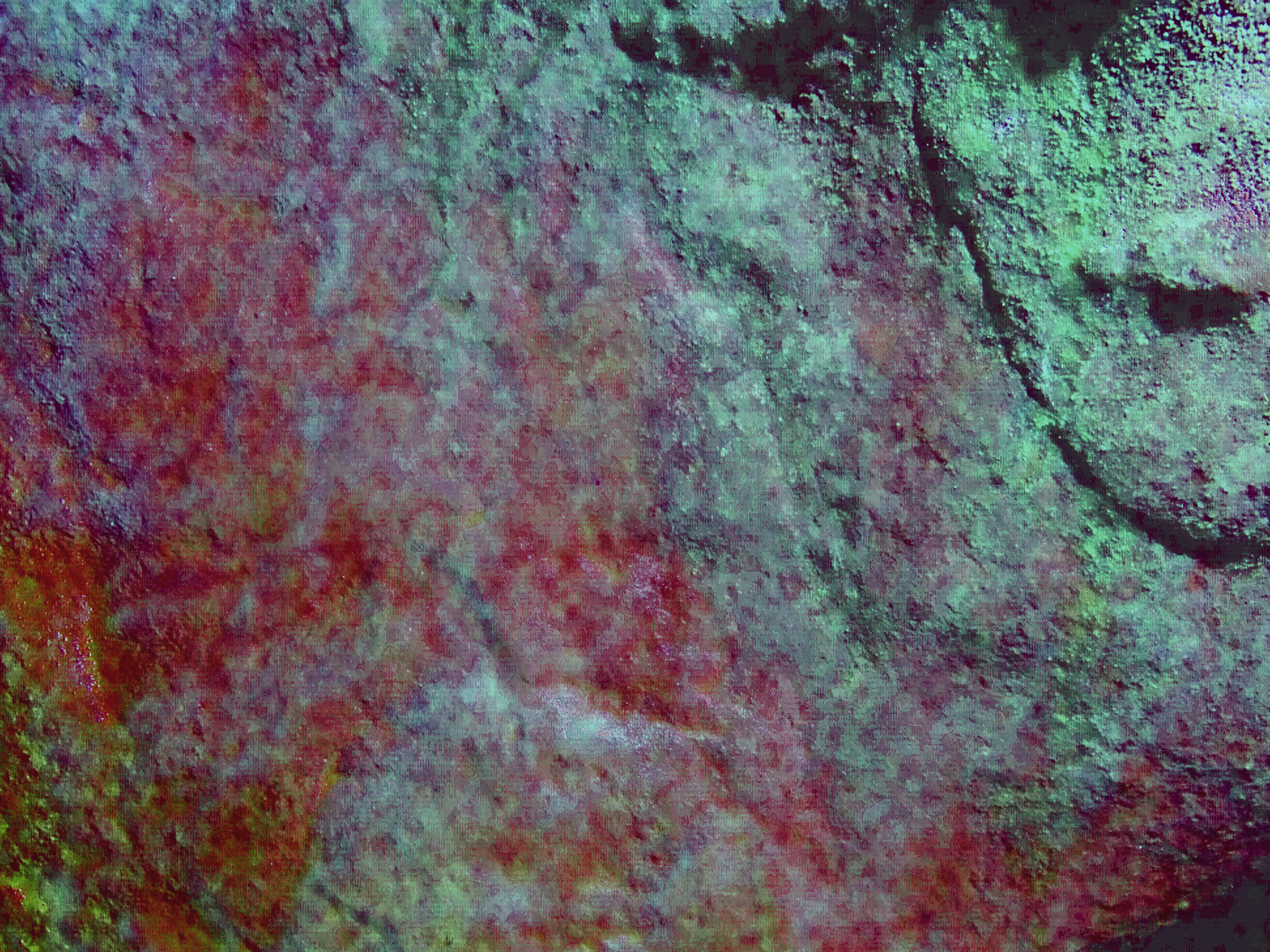 Panel B. D-Stretch showing the haematite infill within the foreleg and neck of the bovine (no scale used)