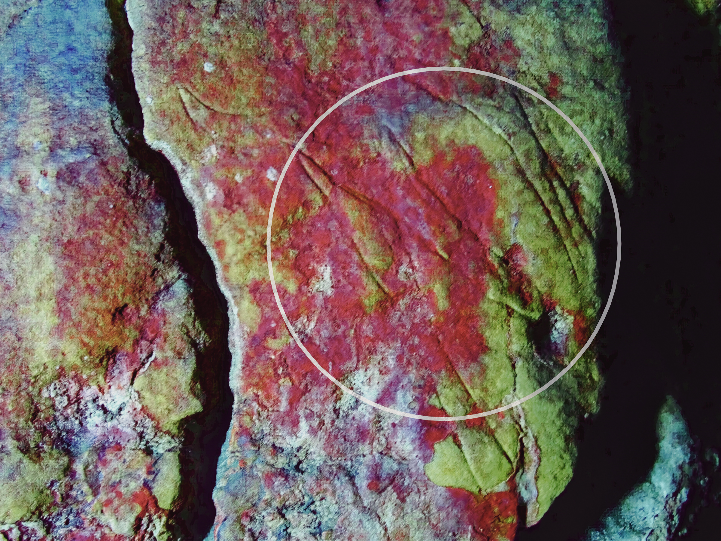Panel C. D-Stretch images showing a curvilinear haematite spread, probably the result of the application of an applied haematite.  Note, the change in colour hue [from deep red (L) to crimson (R)], suggests the formation of a calcite flow over the two engravings. 