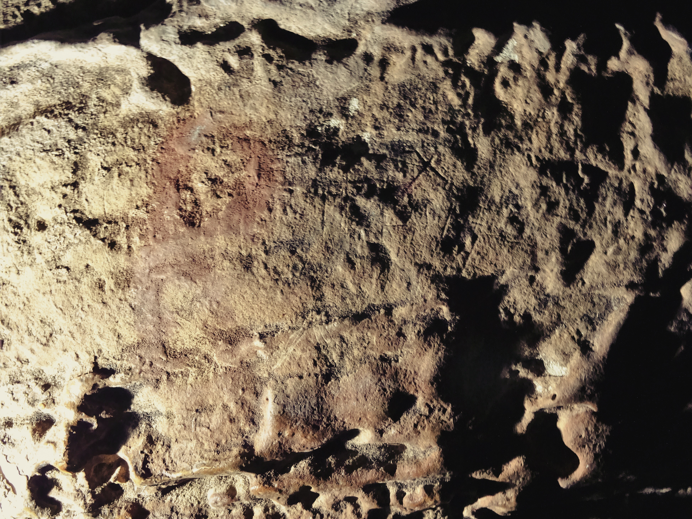 Panel E. Raw image showing little or no indication of the motifs (no scale used)