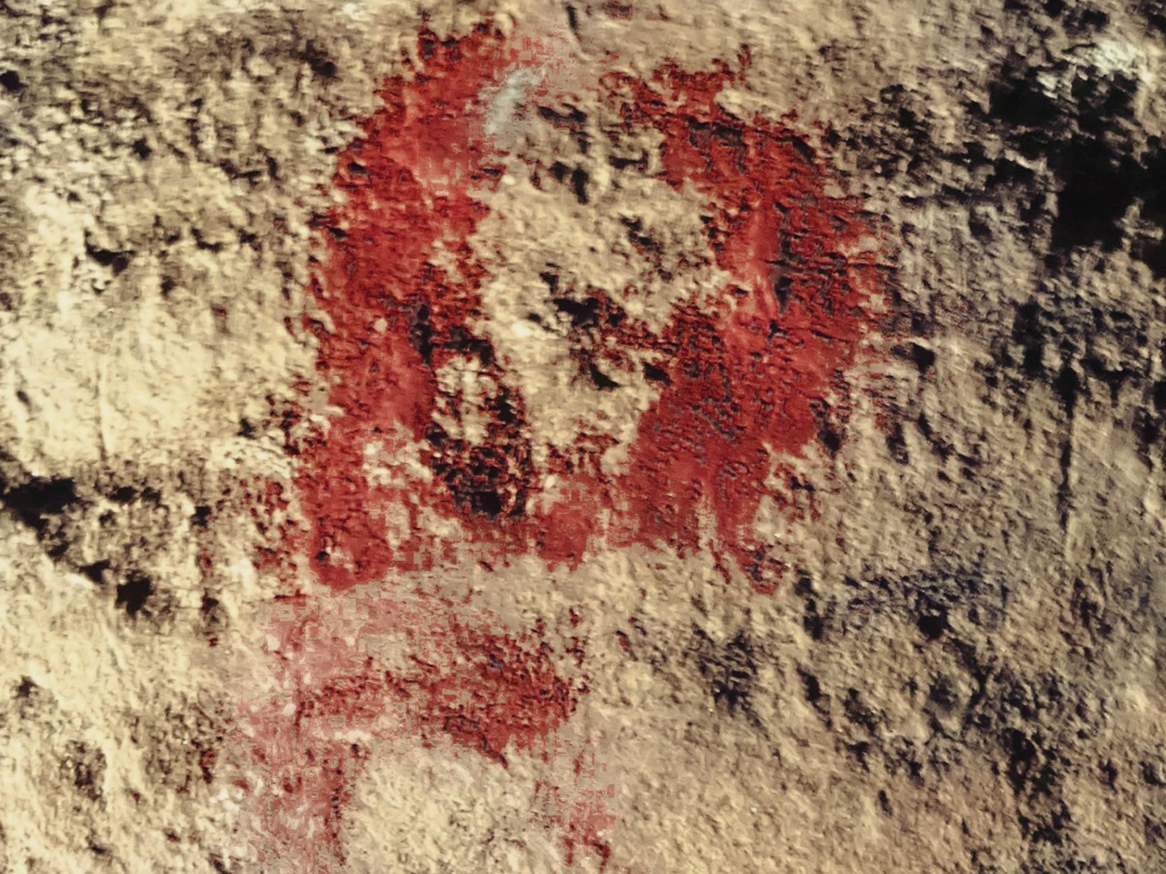 Panel E. Photoshop image showing two complete circular motifs