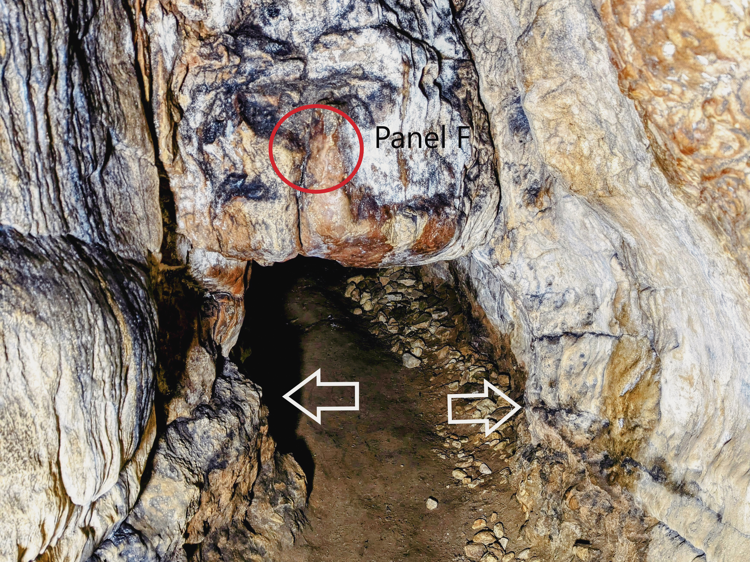 Location of Panel F and the location of the original floor level (indicated by two white arrows)