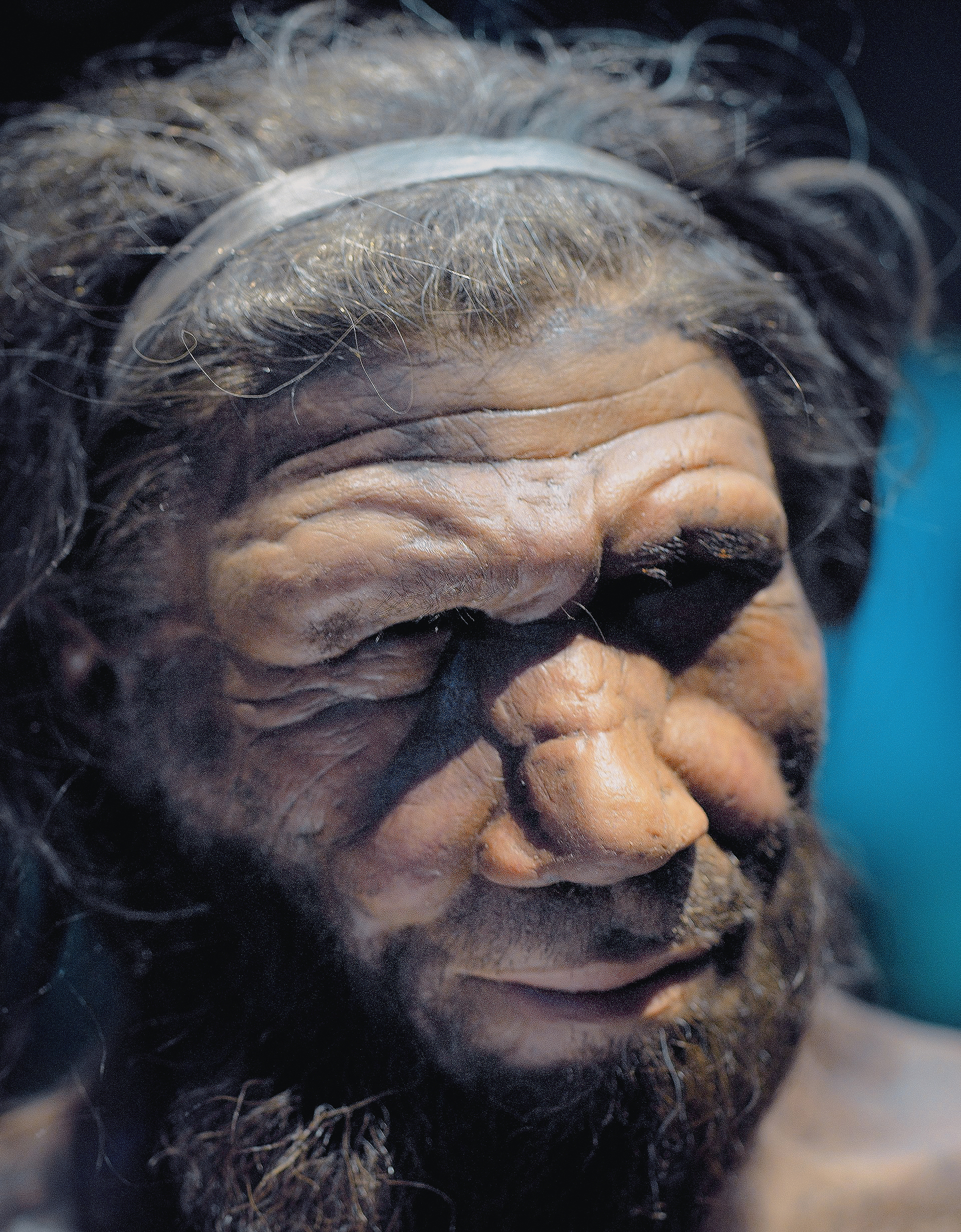 Neanderthal man reconstruction