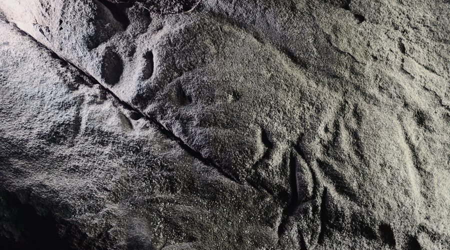 From mammals to motifs: New rock art discoveries in the Peak District National Park