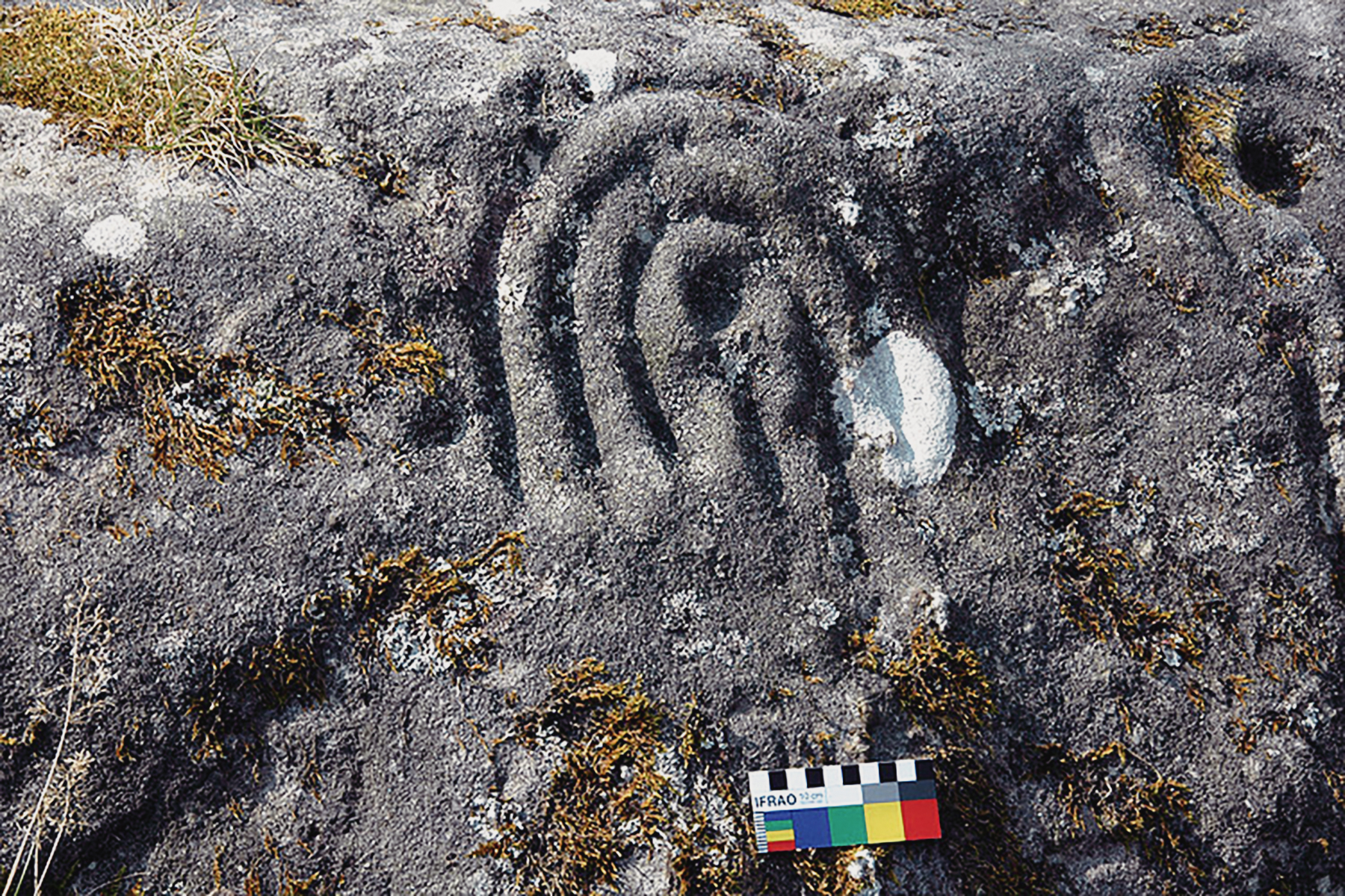Northumberland Rock Art Carvings England