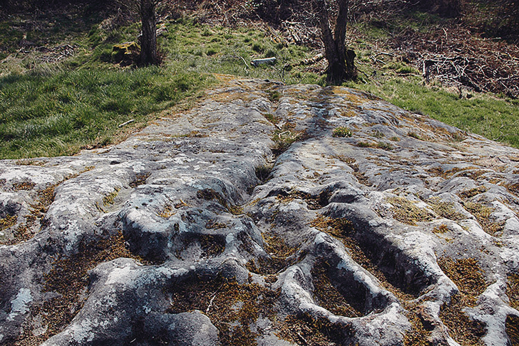 Northumberland Rock Art Carvings England